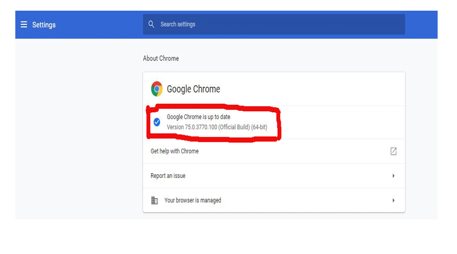 Google chrome Version 75